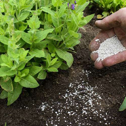 Минеральные удобрения