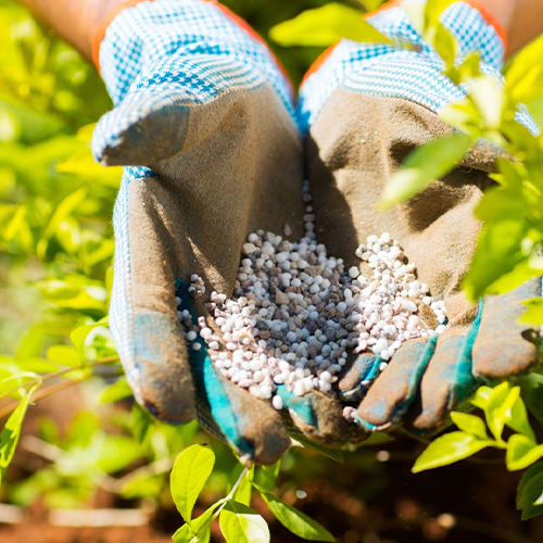 Минеральные удобрения