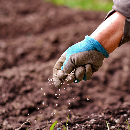 Минеральные удобрения