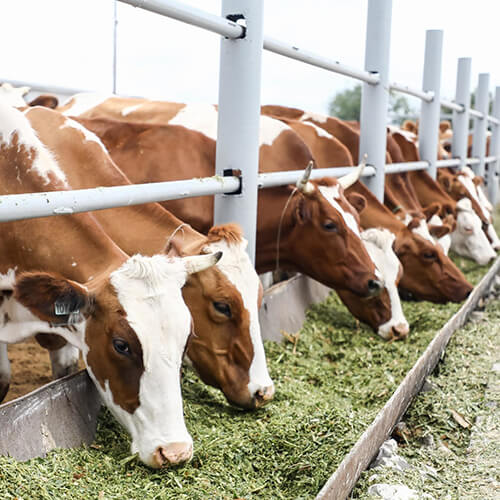 Применение