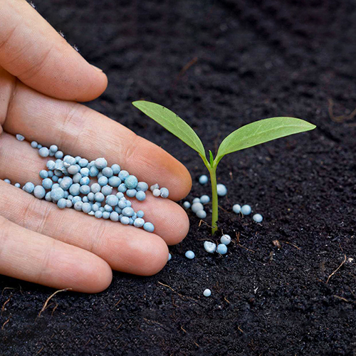 Минеральные удобрения